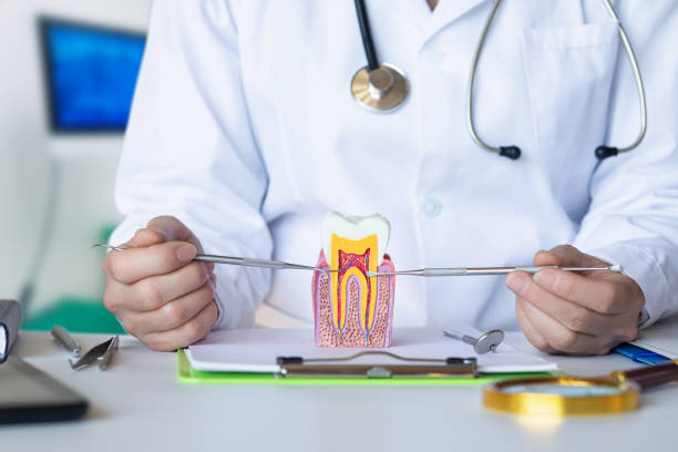 Best Emergency Tooth Extraction in Imperial, PA